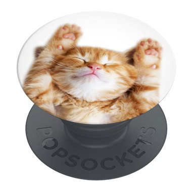 POPSOCKETS PopGrip Basic Snoozy Cat