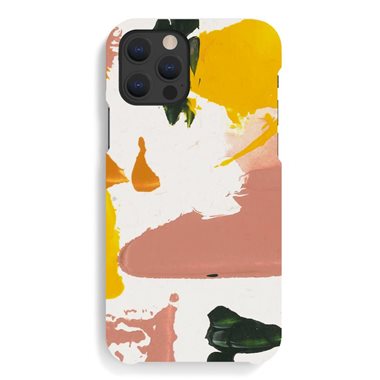 A GOOD Apple iPhone 12/ 12 Pro Hard-Cover Color Splash