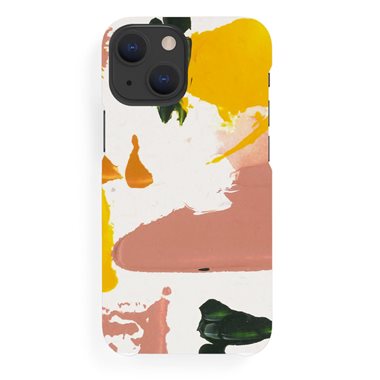 A GOOD Apple iPhone 14 Hard-Cover Color Splash